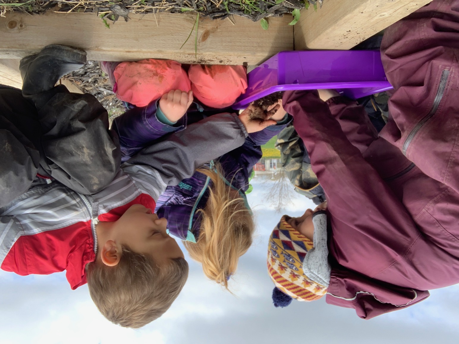 Cultivating a Child's Love of Learning